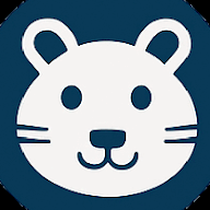 Hamster News